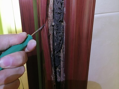 小楼白蚁验收机构卫生间容易招白蚁吗？