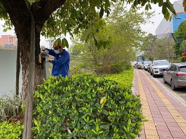 石滩杀灭白蚁中心园林绿化灭治白蚁的有效方法