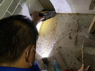 三江白蚁预防所：正确的灭蚁方式是什么